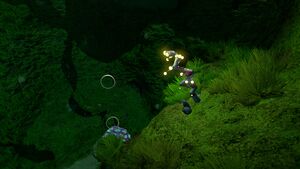 Kelp Forest Caves (2).jpg