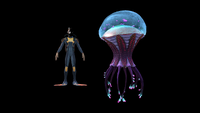 Size comparison to the player