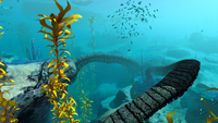 Two of the many coral bridges that give the biome its name