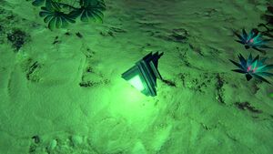 Bulb Zone Cache (8).jpg
