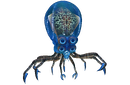 Crabsquid backgroundless.png