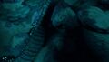 Thumbnail for version as of 19:00, 6 August 2021