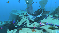 Wreckage in the Grassy Plateaus