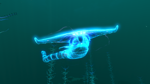 NBKZ GL.png