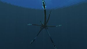 SeaEmperor6.jpg