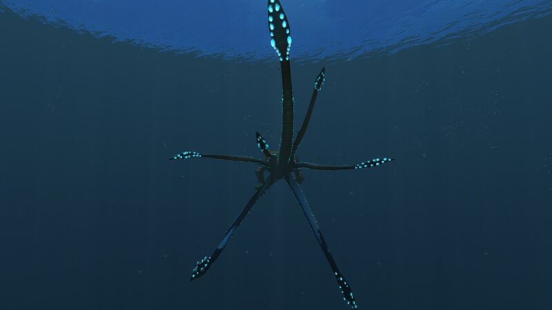File:SeaEmperor6.jpg