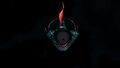 Bioluminescence