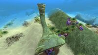 Coral Tube (01).jpg