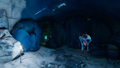 Entrance to a temperate cave within the biome