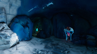 Entrance to a temperate cave within the biome