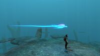 Size comparison with the player