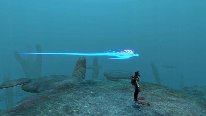 File:SizerefJellyray.jpg