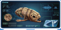 Thumbnail for version as of 12:10, 13 December 2017