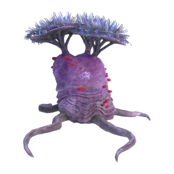 File:Twisted Mandrake Flora.png