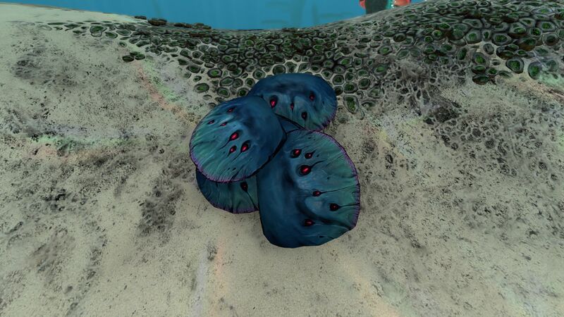 File:Blue coral.jpg