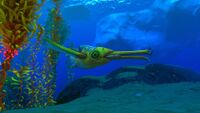 A Brinewing swimming near the Arctic Kelp Forest
