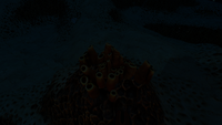Brown Coral Tubes