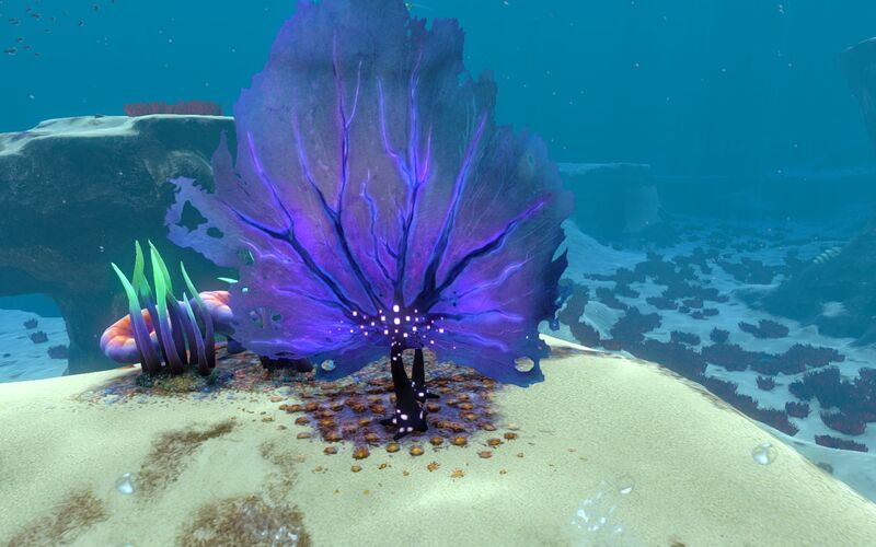 File:Life-form material purple fan.jpg