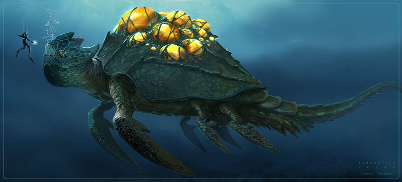 File:Pat-presley-deepcreatures-turtle.jpg