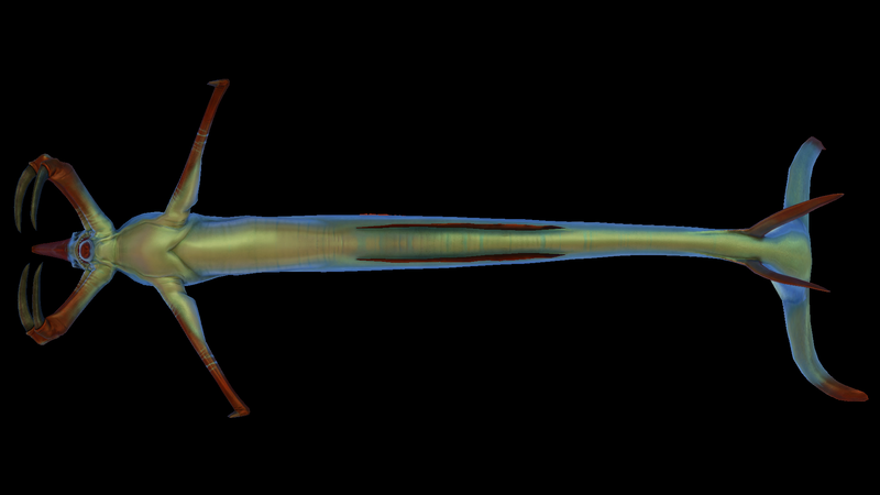 File:Reaper Underside.png