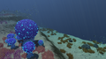 Thumbnail for version as of 21:58, 2 March 2017