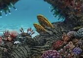 Veined Shell Plate in a early coral reef Concept Art