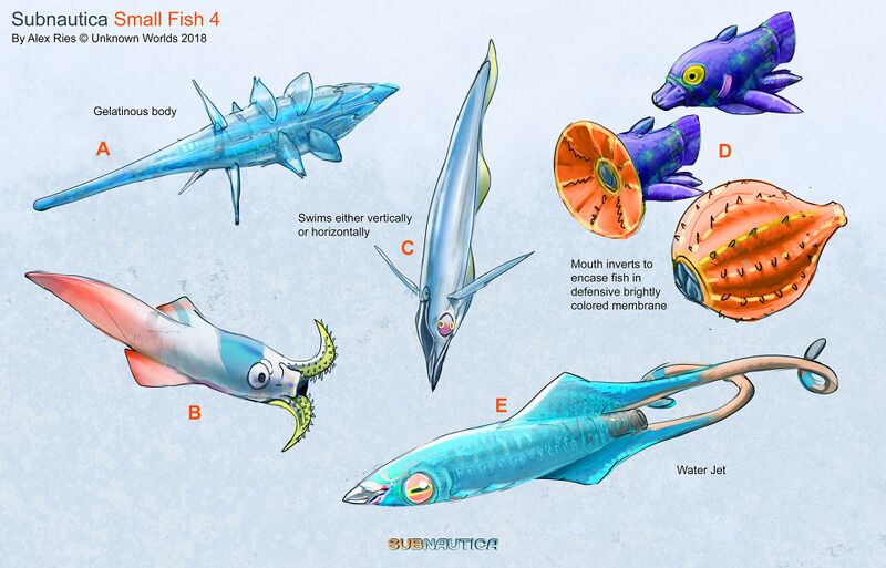 File:Alex-ries-alex-smallfish04.jpg