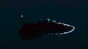 Biter Fish (3).jpg