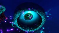 Eye Jelly