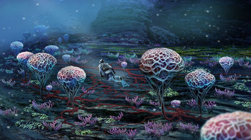 File:Pat-presley-coralzone04-adjusted-lorz.jpg