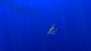 SDBW2.png