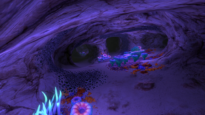 Safe Shallows Caves (1).png