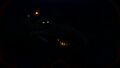 Bioluminescence