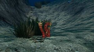 TigerPlant1.jpg