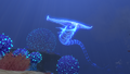 Thumbnail for version as of 00:06, 24 September 2019