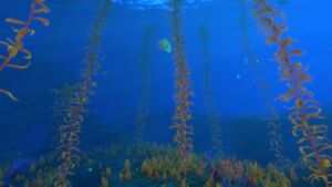 ArcticKelpForest 5.jpg