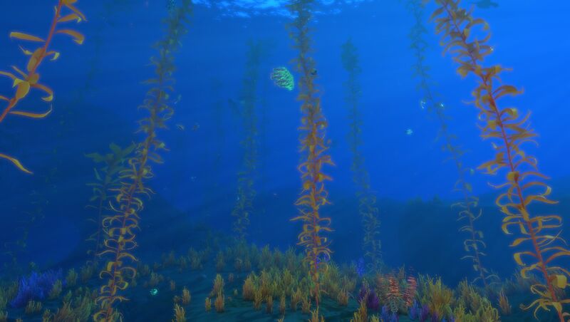 File:ArcticKelpForest 5.jpg