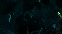 Entrance to the Lost River in the Northern Blood Kelp Zone