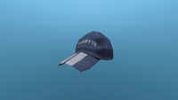 The Blue Cap In-Game