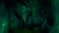 A pair of stalactites found within an underwater cave.