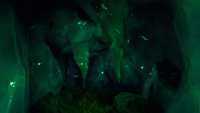 A pair of stalactites found within an underwater cave.