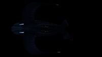 Glow Whale dorsal view