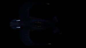 Glow Whale Night 2.jpg