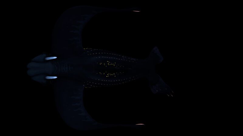 File:Glow Whale Night 2.jpg