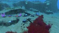 A small wreck in the Grassy Plateaus