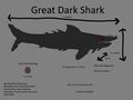 Great Dark Shark Concept "Gran tiburón escuro"
