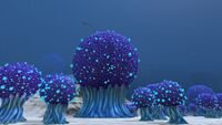 Koosh Bushes come in various sizes