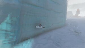 SnofoxBug.jpg