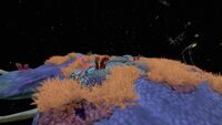 A Tiger Plant on a Reefback that can damage the player.