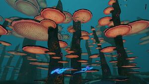 83AE537E-1AD9-4F20-8158-564501295E79.jpeg